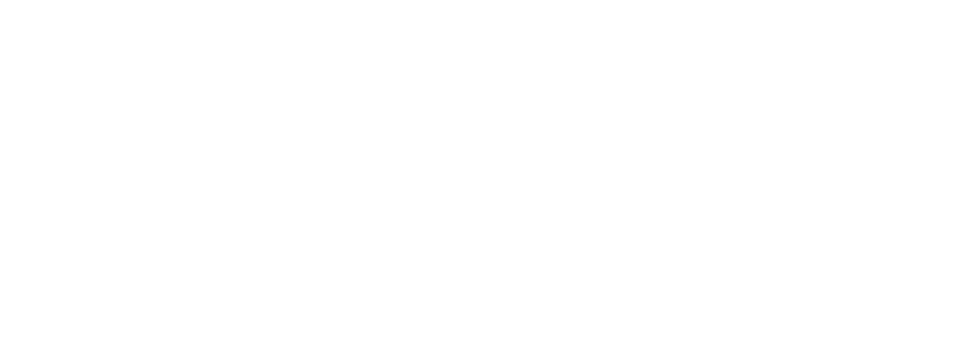 VASSO Professional